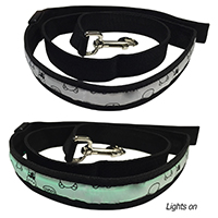 4' Light Up Dog Leash